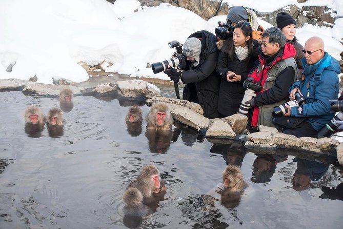 Full-Day Private Nagano Tour: Zenkoji Temple, Obuse, Jigokudani Monkey Park - Memorable Experiences and Testimonials