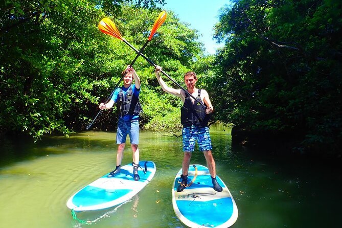 [Ishigaki]Mangrove SUP/Canoe Blue Cave Snorkeling - What to Expect