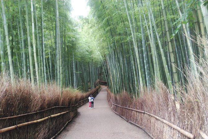 Kyoto Early Riser Platinum One-Day Tour - Price and Additional Information