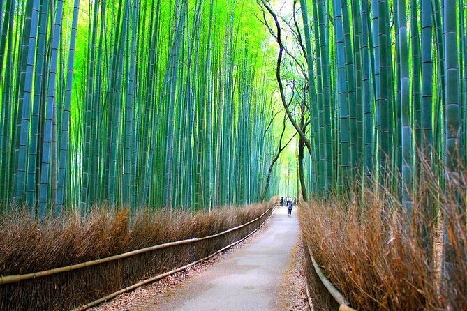 Private Walking Tour in Bamboo Forest & Hidden Spots in Arashiyama - Location Information