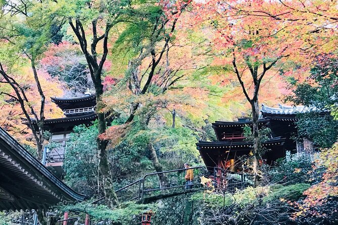Private Walking Tour in Bamboo Forest & Hidden Spots in Arashiyama - Start and End Times