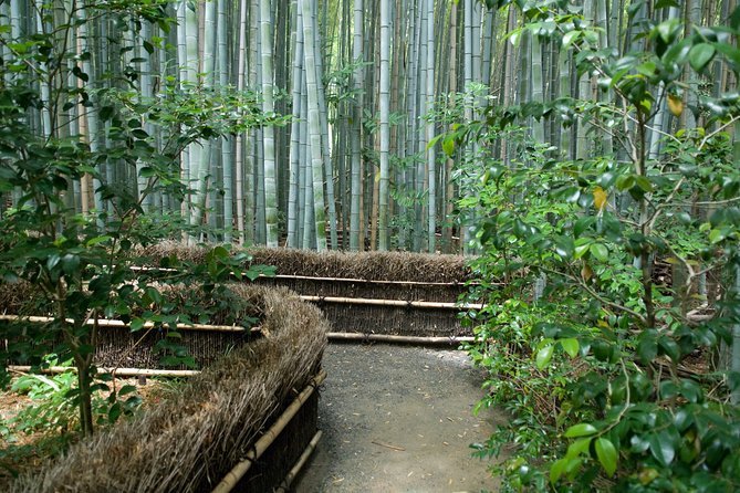 Kyoto Bamboo Forest Electric Bike Tour - Positive Reviews