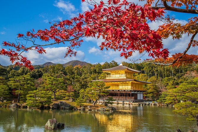 Kyoto and Nara 1 Day Bus Tour - Tour Duration and Ticket Options
