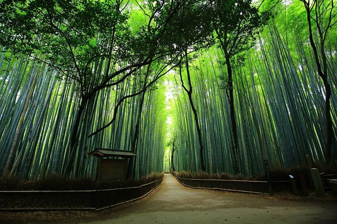 Kyoto Arashiyama & Sagano Bamboo Private Tour With Government-Licensed Guide - Tour Overview and Highlights