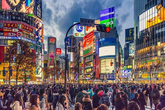 Shibuya All You Can Eat Best Food Tour - Professional and Knowledgeable Guides