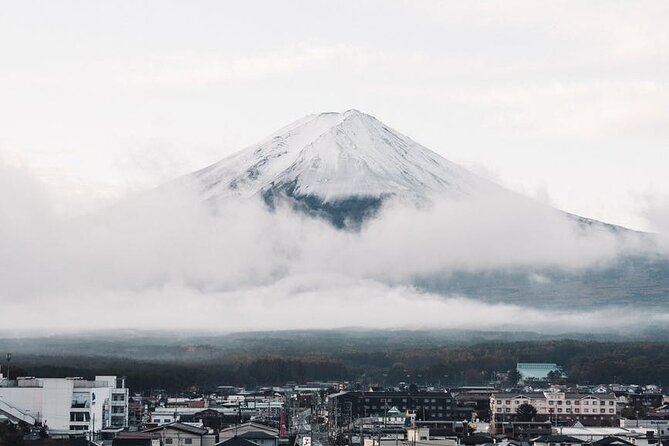Private One Day Mt. Fuji - Lake Kawaguchiko Tour With Bilingual Driver - Reviews