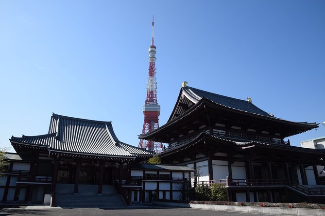 Private One Day Tokyo City Tour With Bilingual Driver - Tour Highlights and Itinerary