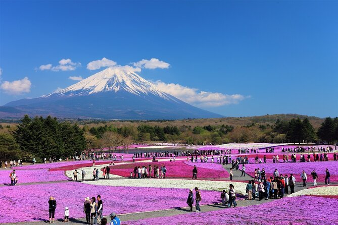 Private Full-Day Mt Fuji Hakone Tour English Driver Guide by Car - Booking and Tour Details