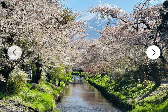 Private Full-Day Mt Fuji Hakone Tour English Driver Guide by Car - Traveler Feedback and Reviews