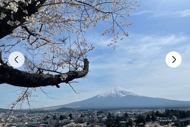 Private Full-Day Mt Fuji Hakone Tour English Driver Guide by Car - Feedback on Tour Guide and Mt. Fuji Area