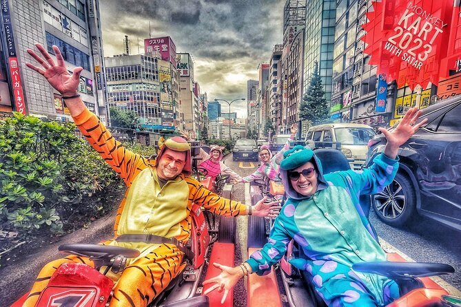 Private Go-Karting Tour of Shinjuku With Cartoon Costumes  - Tokyo - International Driving Permit Requirements