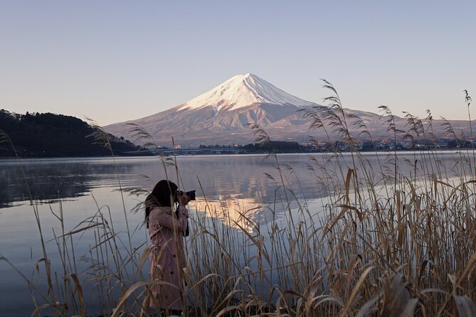 Private Mount Fuji Tour - Bilingual Chauffeur - up to 5 Travelers - Tour Highlights and Itinerary