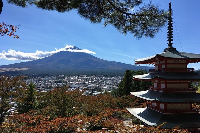 Private Tour: Chartered Car to Mt. Fuji Lake Kawaguchiko or Hakone and Lake Ashi - Cancellation Policy and Weather Considerations