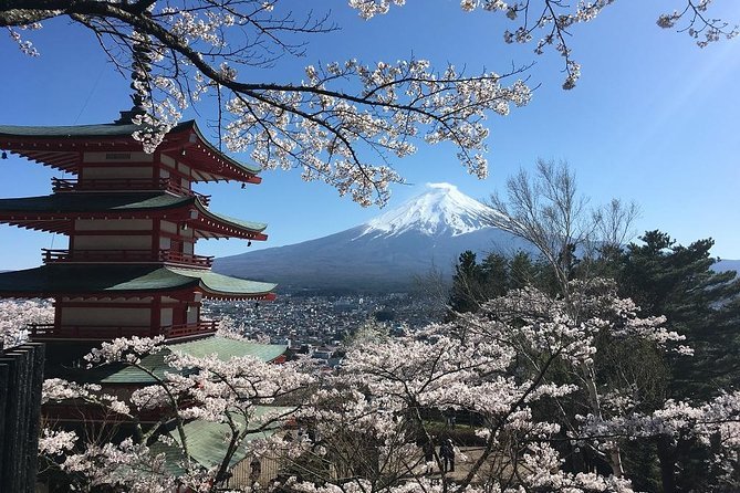 Private Tour: Chartered Car to Mt. Fuji Lake Kawaguchiko or Hakone and Lake Ashi - Customer Feedback and Recommendations