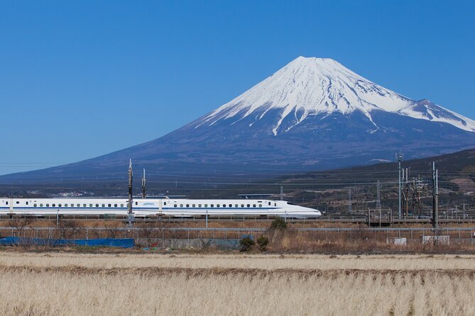 Mt. Fuji & Hakone 1 Day Tour From Tokyo (Return by Bullet Train in Option） - Itinerary Highlights