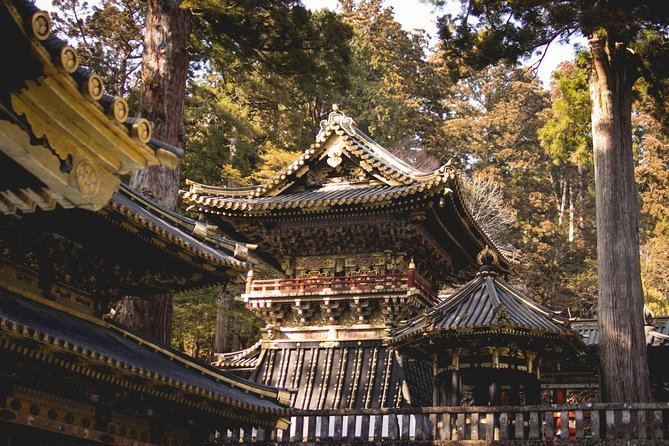 1 Day Private Nikko World Heritage Tour (Charter) - English Speaking Driver - Cancellation Policy