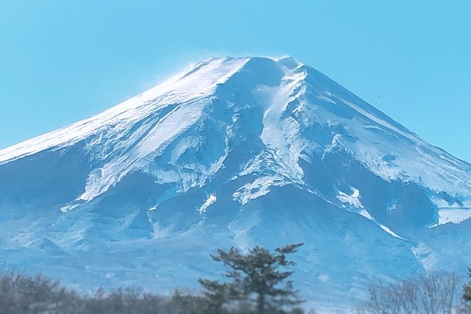 Full Day Private Fuji Tour With English Driver & Muslim Friendly - Pickup and Meeting Details
