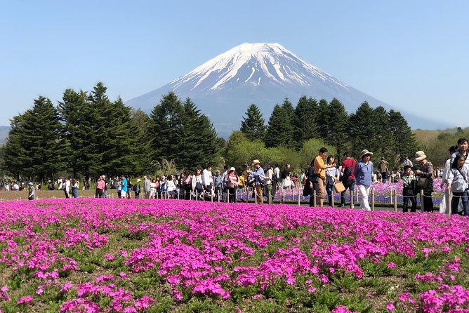 Full Day Private Fuji Tour With English Driver & Muslim Friendly - Booking and Reservation Details