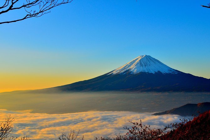 1 Day Private Tour Mt. Fuji, Hakone and Lake Ashi With English Speaking Driver. - Traveler Reviews and Testimonials