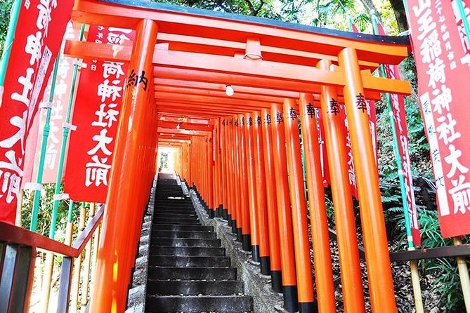 Tokyo off the Beaten Path 6hr Private Tour With Licensed Guide - Highlights and Experiences