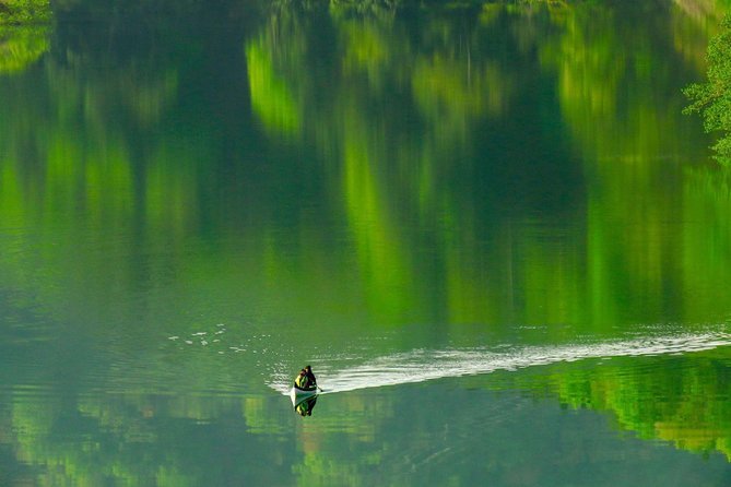 Dive Naturally! Melting Kinshu Lake Submerged Forest Canoe Tour - Just The Basics