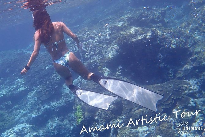 Amami Oshima Skin Diving Photo & Movie Tour! - What To Expect