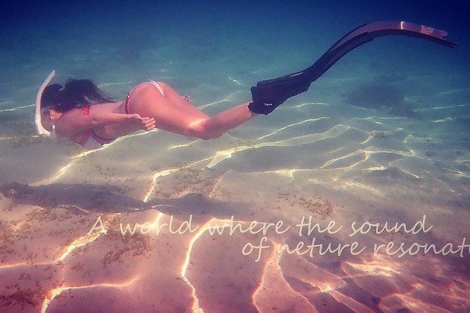 Amami Oshima Skin Diving Photo & Movie Tour! - Reviews