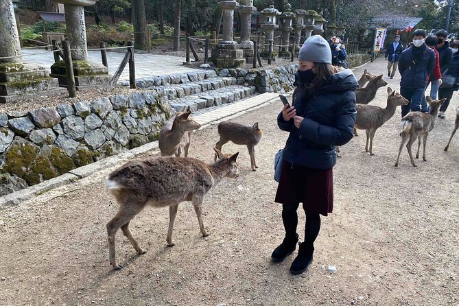 Nara Full-Day Private Tour Osaka/Kyoto Departure With Government-Licensed Guide - Tour Overview and Highlights