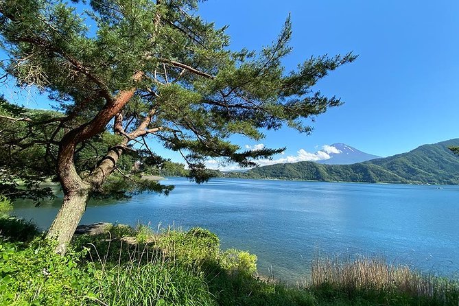 Lake Kawaguchiko Bike Tour - Tour Highlights