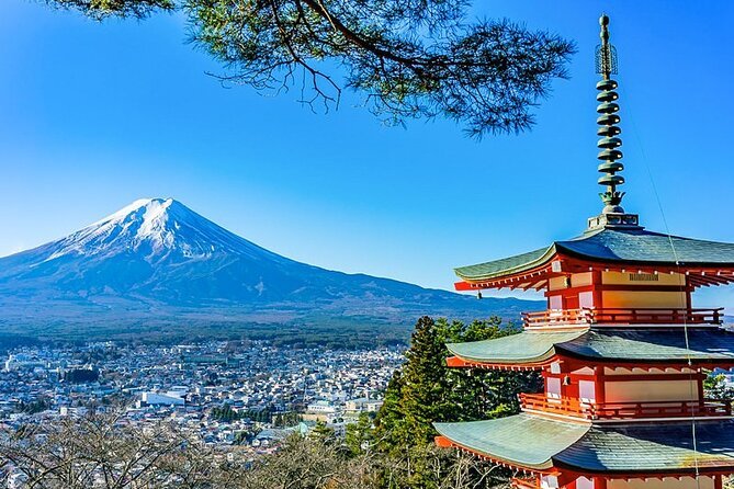Mt. Fuji Five Lakes Area Private Tour With Licensed Guide(Kawaguchiko Area Dep) - Just The Basics
