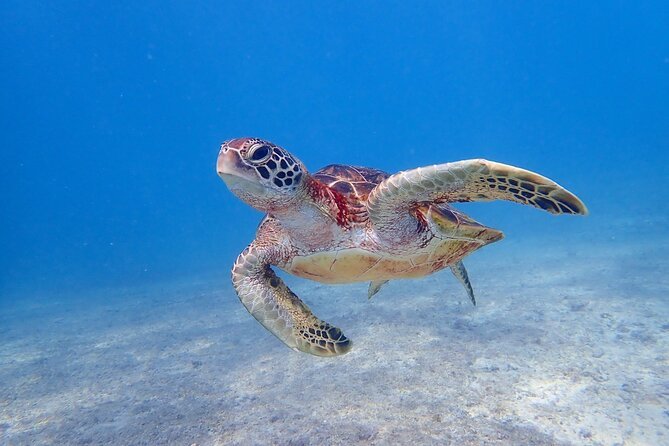 [Okinawa Miyako] 3set! Beach SUP・Tropical Snorkeling・PumpkinLimestone Cave・Canoe - Cancellation Policy